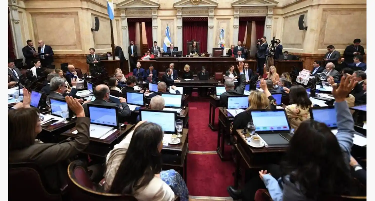 El Gobierno recibirá a los senadores electos de La Libertad Avanza para organizarse antes de su asunción. (Foto: Senado)
