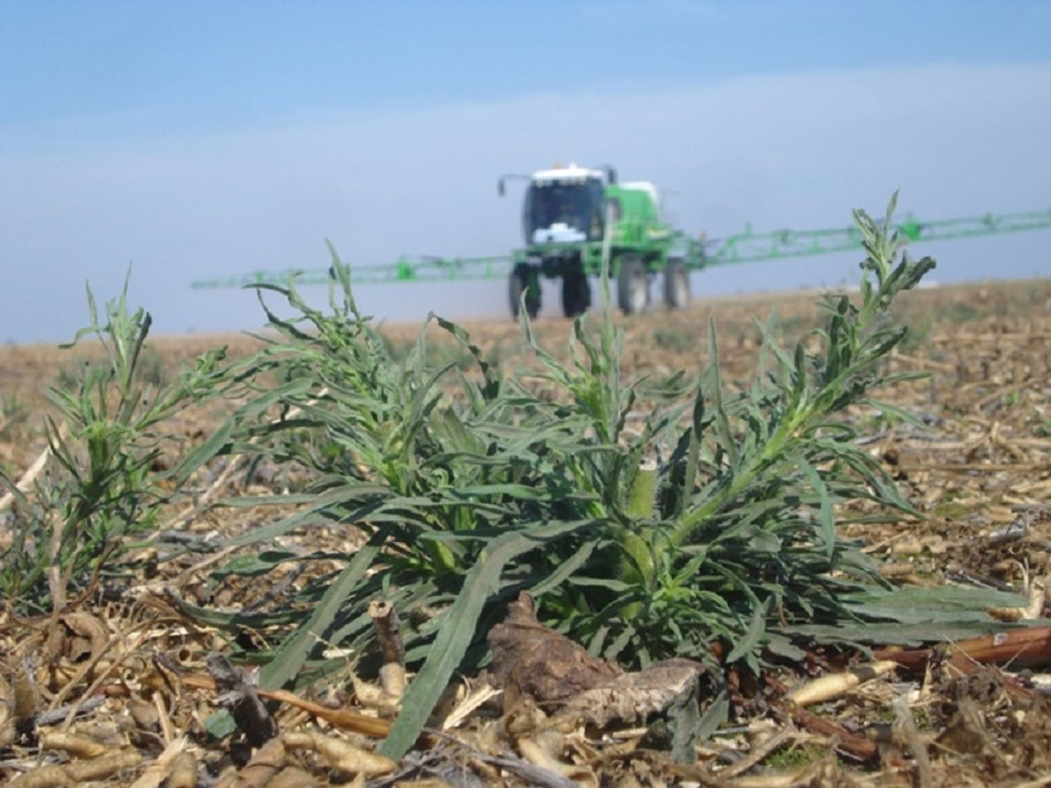 Capacitación para aplicadores de agroquímicos
