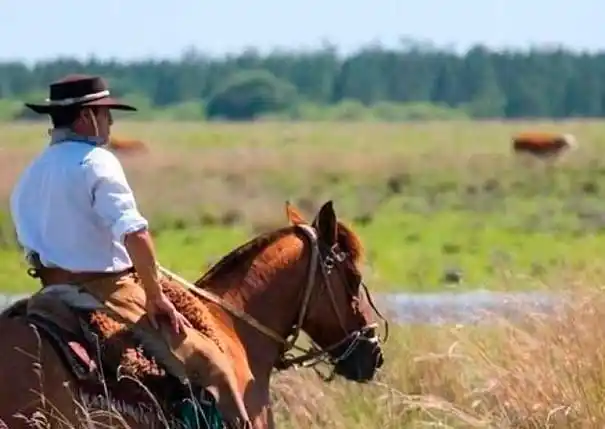 El caballo siempre ha ocupado un rol central en el trabajo rural.