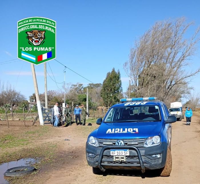 caballos-venado tuerto