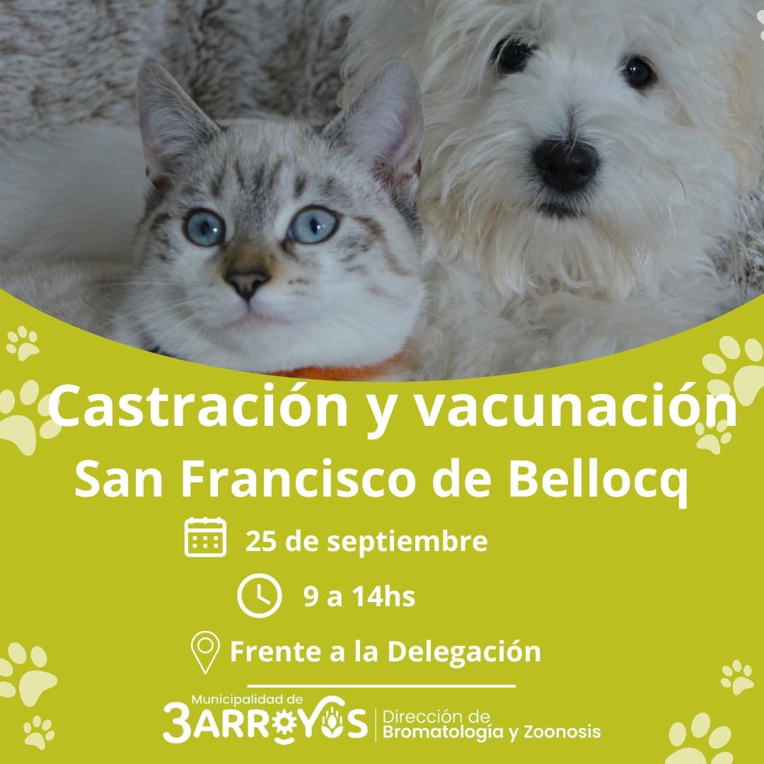 El móvil quirúrgico continúa con castraciones por todo el distrito