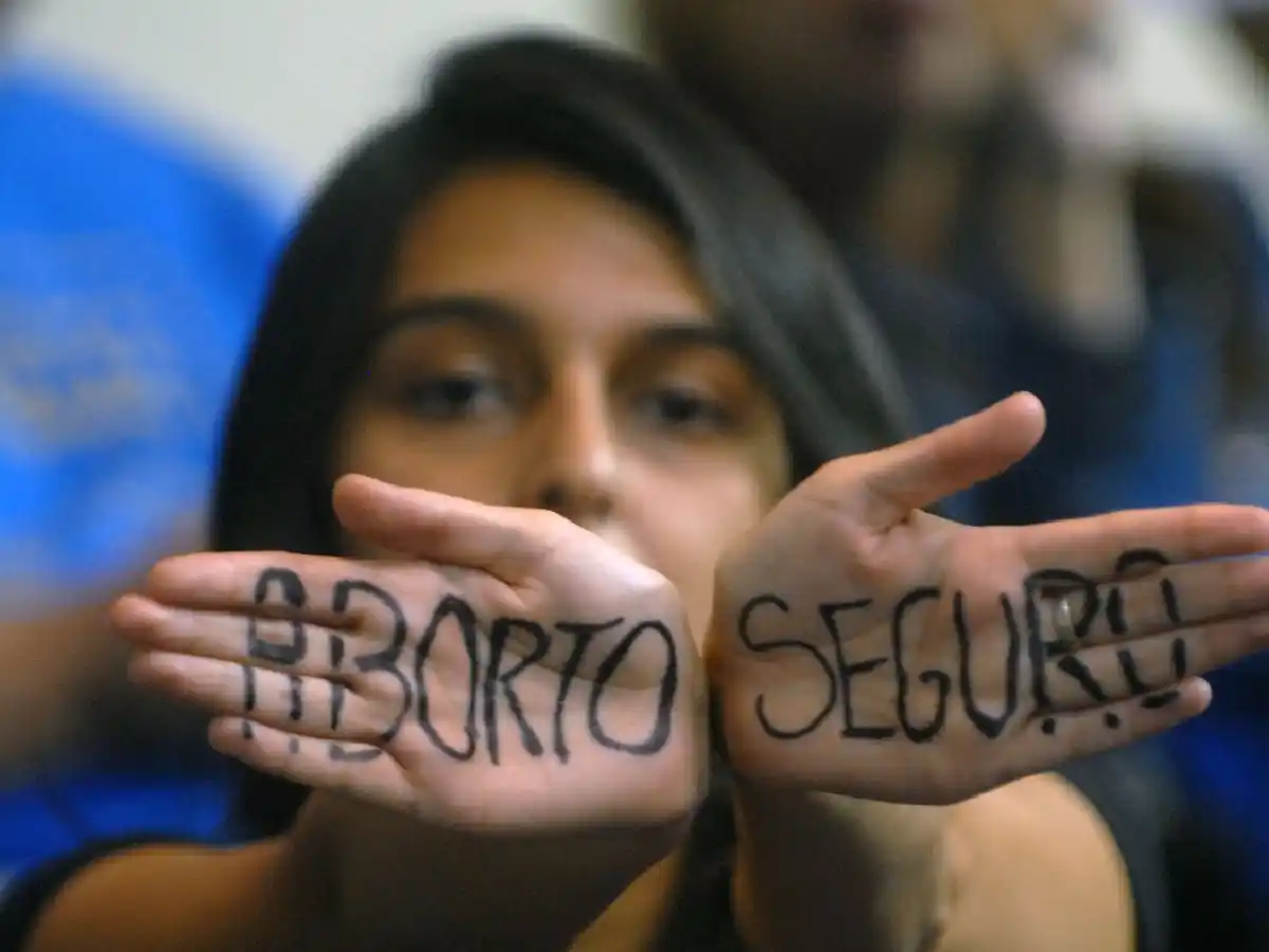 ¿Cuáles son los puntos principales del proyecto de legalización del aborto? 