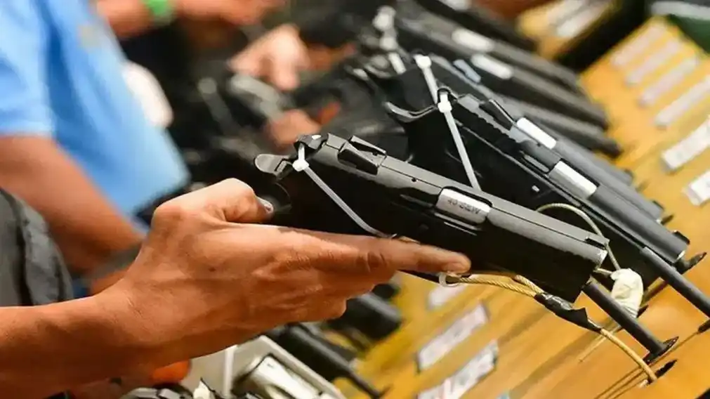 La nueva ley otorga un plazo de 360 días para que los propietarios de armas de fuego sin registrar puedan regularizar su situación ante la ANMAC o, en forma alternativa, entregarlas voluntariamente para su destrucción.