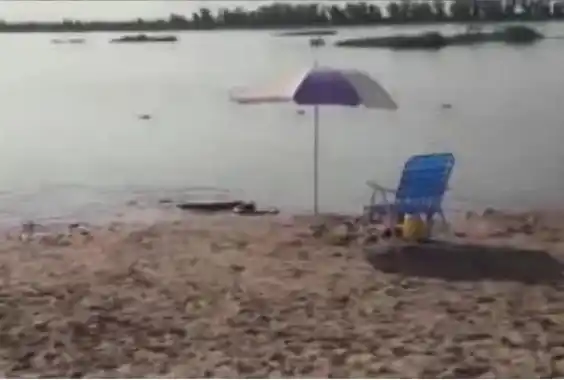 Una anaconda amarilla apareció en las playas del río Paraná