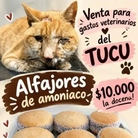 El “Tucu” encontró a su ángel de la guarda sin buscarlo