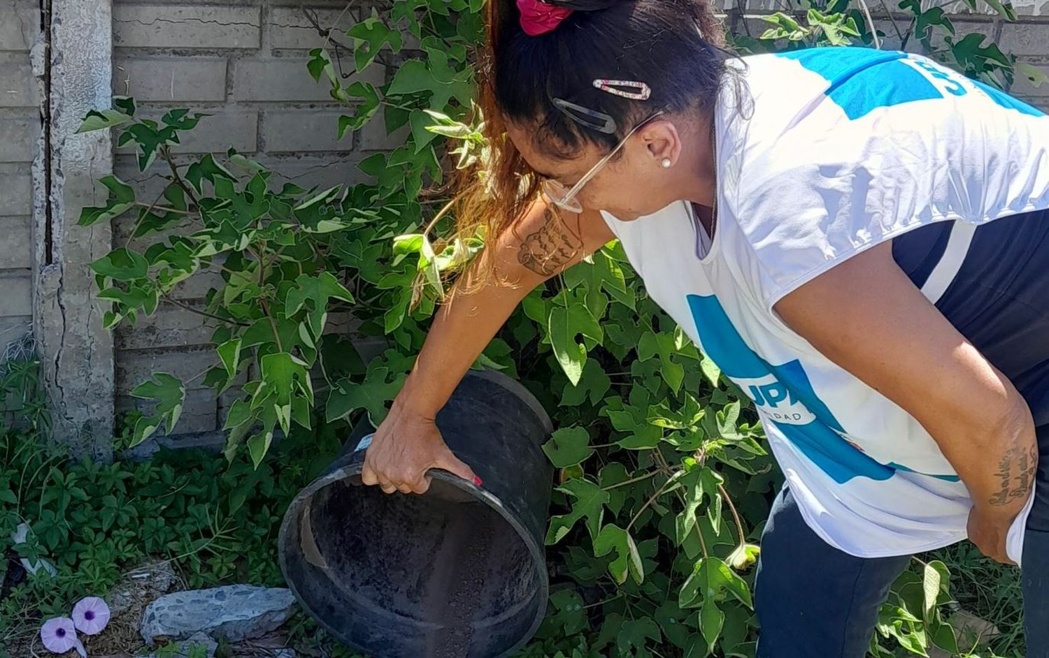 Cualquier recipiente que junte agua puede convertirse en un criadero de huevos del mosquito Aedes aegypti.