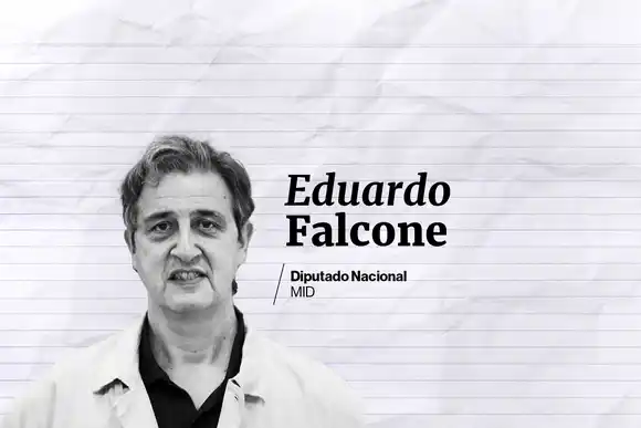 Cripto escándalo: "El juicio político me parece un disparate", opinó el diputado Falcone