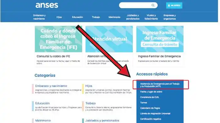 La ANSES habilita consulta  online para ATP