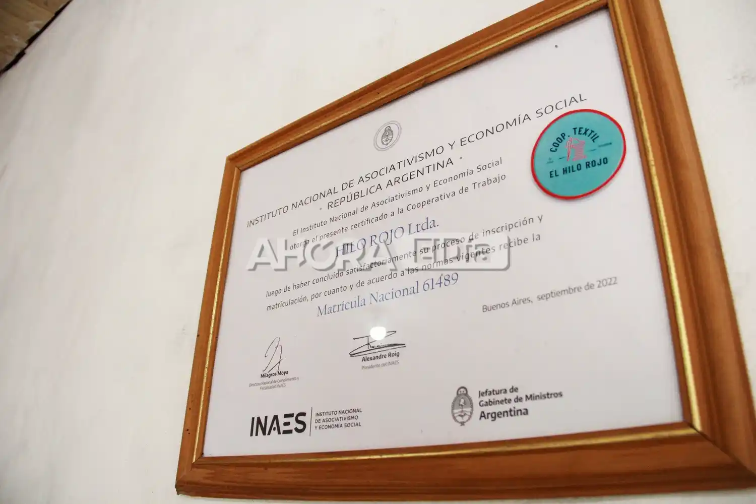 cooperativa hilo rojo - 4