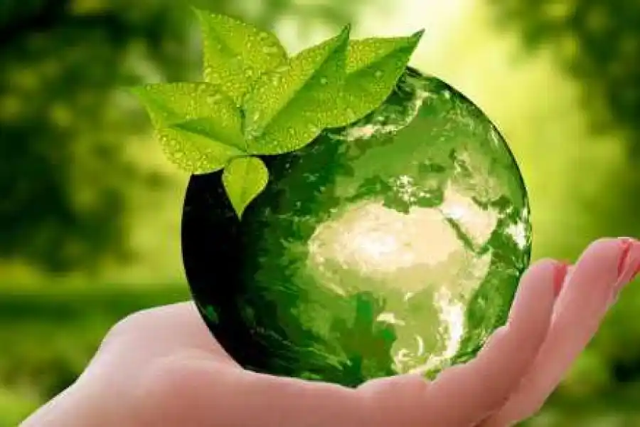 Se realizó la 39° reunión del Consejo Ambiental