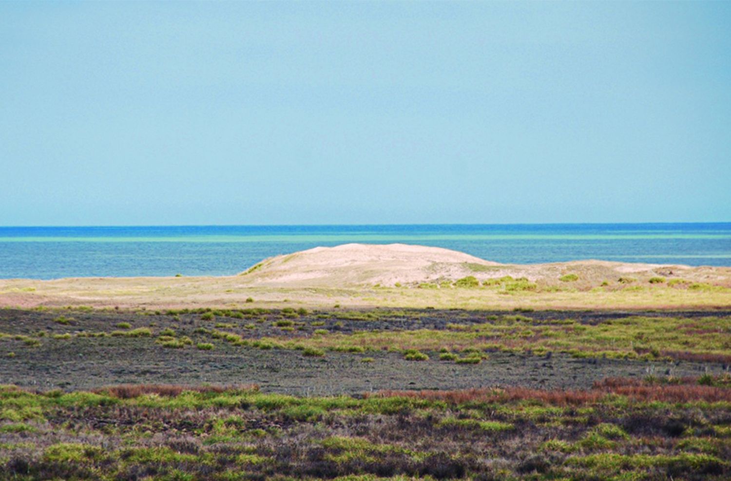 Paredi: "Soy el primer defensor de que CELPA se transforme en Parque Nacional y sea un territorio dedicado al medio ambiente"