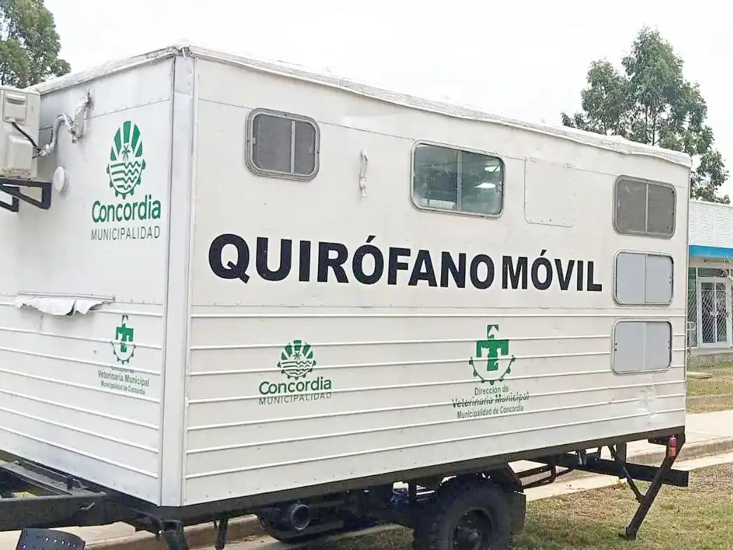 El programa de esterilizaciones barriales gratuitas atenderá en el barrio Parque Río Uruguay