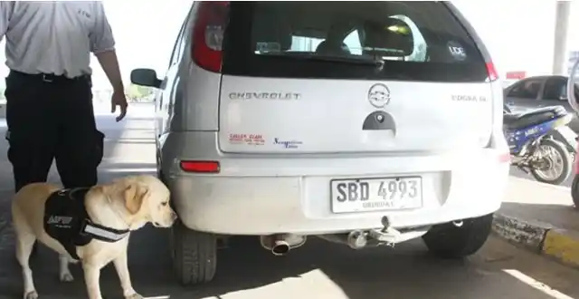 Gualeguaychú: Descubren a dos uruguayos con 300 mil dólares