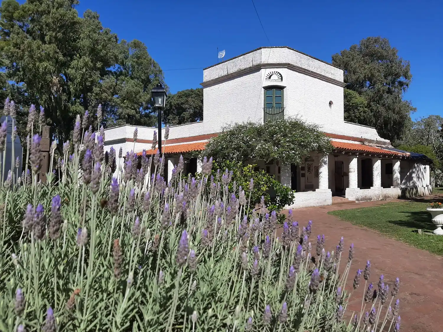 Encuentros en el Museo Pampeano: un necesario espacio compartido para reflexionar sobre la salud mental en las infancias