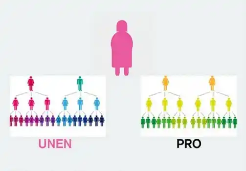 Carrió tuvo que hacer un dibujo para explicar cómo juntar FAUnen con PRO