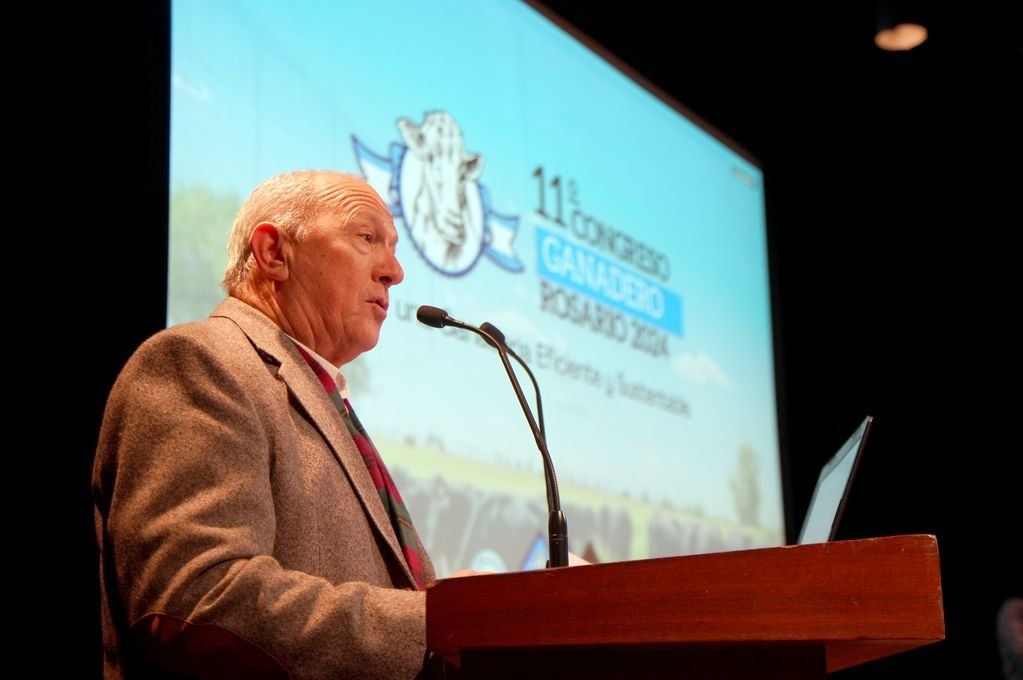 Carlos Castagnani, durante su exposición en Rosario.