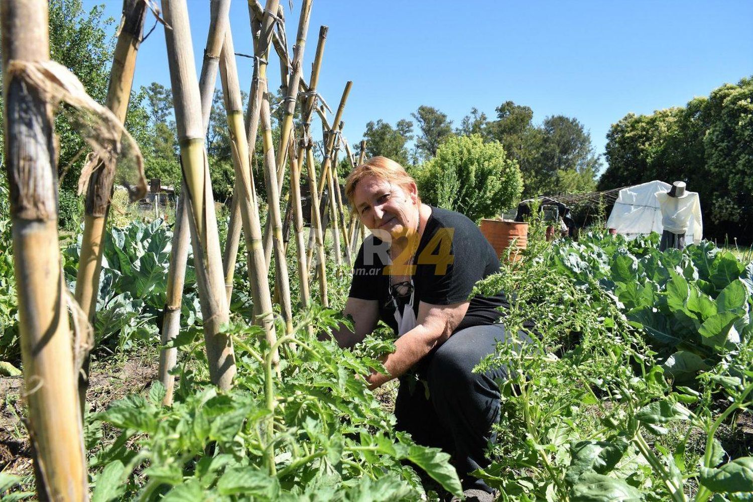 Ramona Romero, toda una vida entregada a las semillas y la huerta familiar