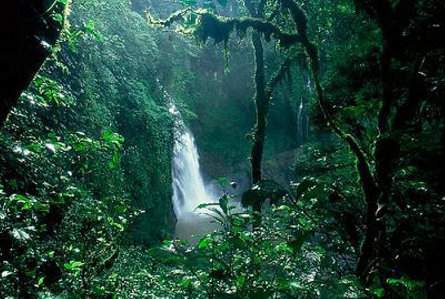 «ALGO MISTERIOSO LOS GUÍA» afirma el abuelo de niños desaparecidos en la selva