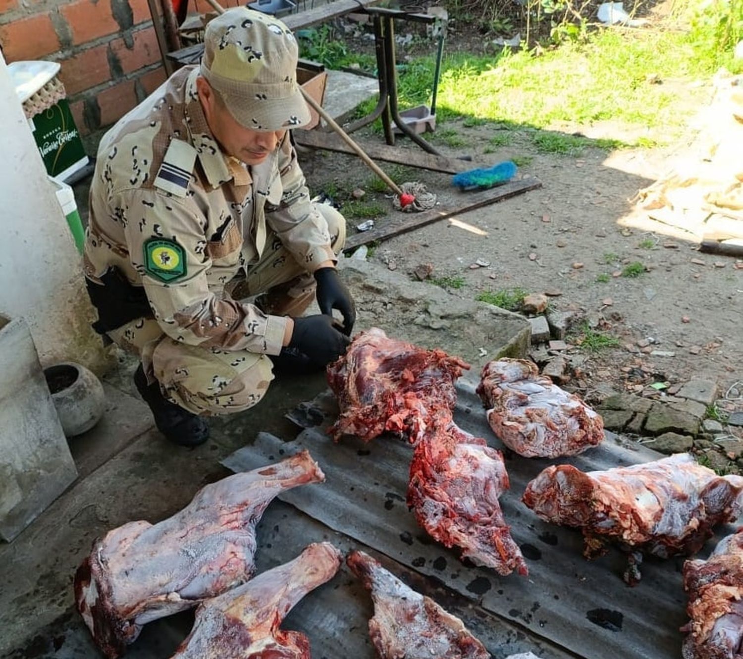 Fuerte operativo por abigeato en Gualeguaychú: allanaron y requisaron cuatro viviendas