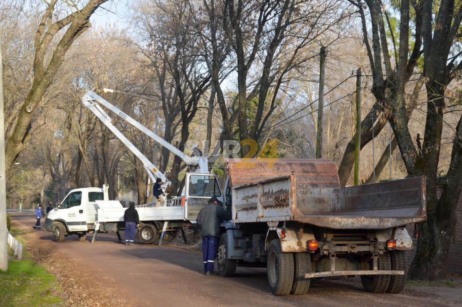 El Gobierno Municipal refuerza las tareas de limpieza, poda y desmalezado