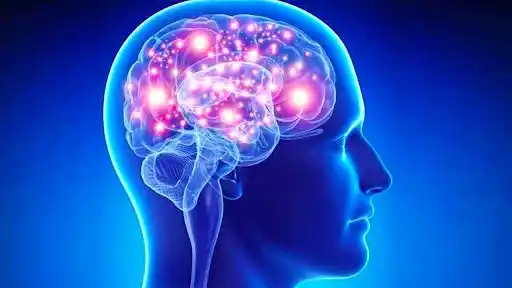 NO ES UN SIMPLE DULCE: mira el daño que el azúcar puede causar a tu cerebro