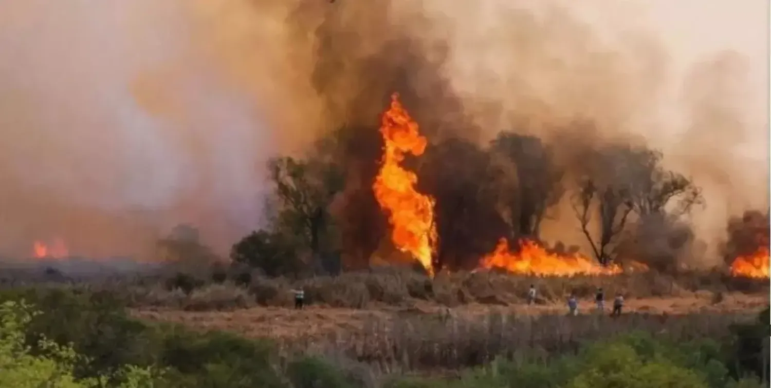 Se registran focos activos de incendios forestales en cuatro provincias