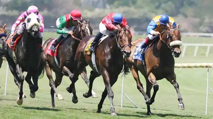 Miércoles 13: Actividad Hipódromo de San Isidro