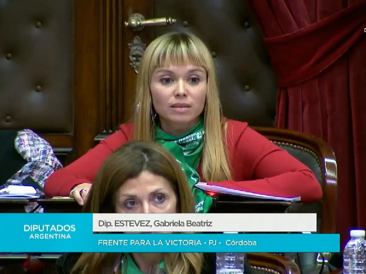 Hoy se presenta nuevamente el proyecto de ley de aborto legal vuelve a ingresar al Congreso