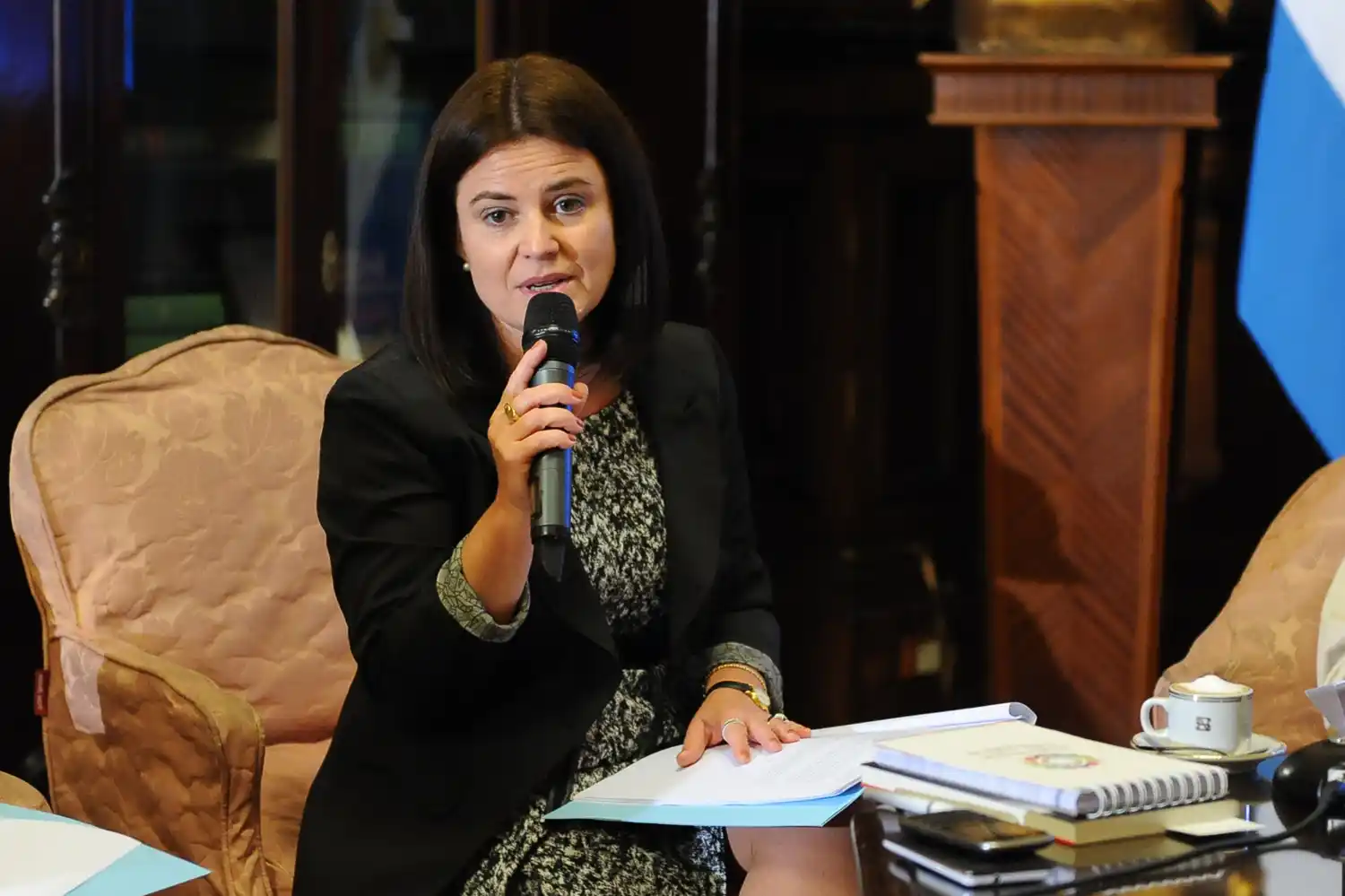 Media sanción para dos proyectos de ley contra la Violencia de Género