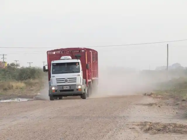 “Está lejano de concretarse por falta de fondos”, dijo Alicia Feltes
