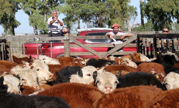 “La suba no alcanza a cubrir el déficit que tiene hoy producir un kilo de carne”
