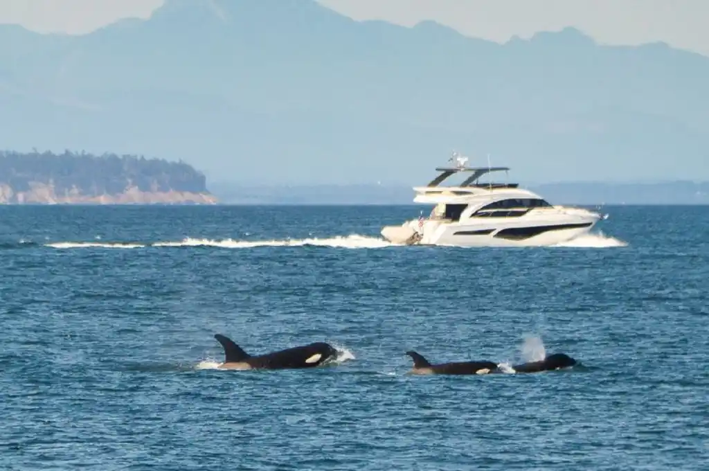 Sucedió frente a la costa de Marruecos