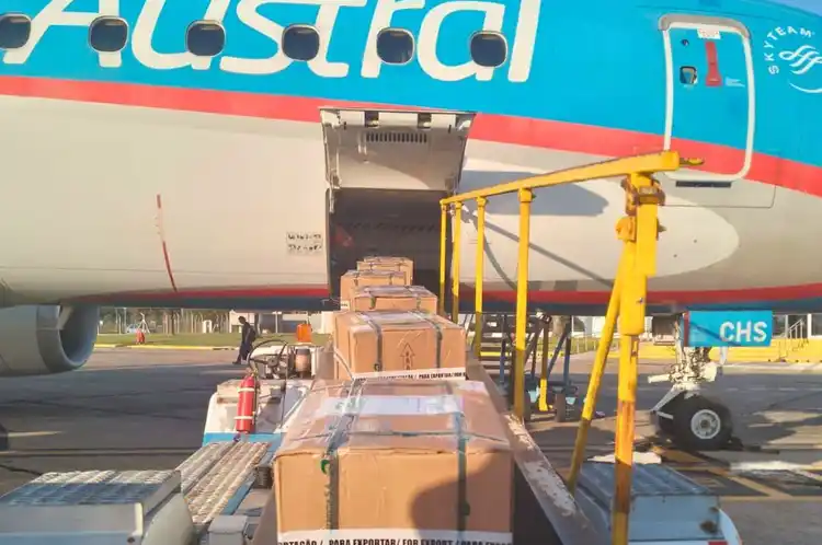 Sauce Viejo exportó fermentos lácteos a Paraguay y fortalece su perfil logístico