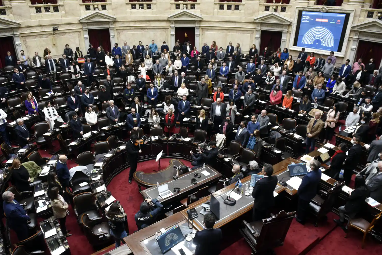 Actividad en Diputados: biotecnología, desarrollo austral, agujero azul, antimicrobianos, y cuidados paliativos