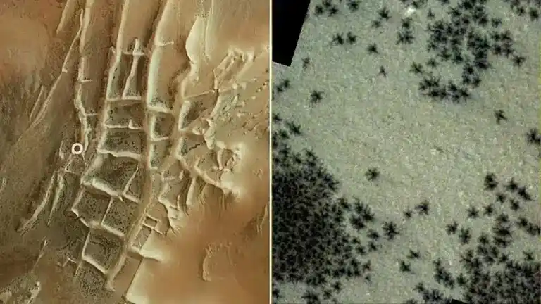 Las “arañas de Marte” despertaron por primera vez en la Tierra: qué son y cuáles son los hallazgos en las investigaciones