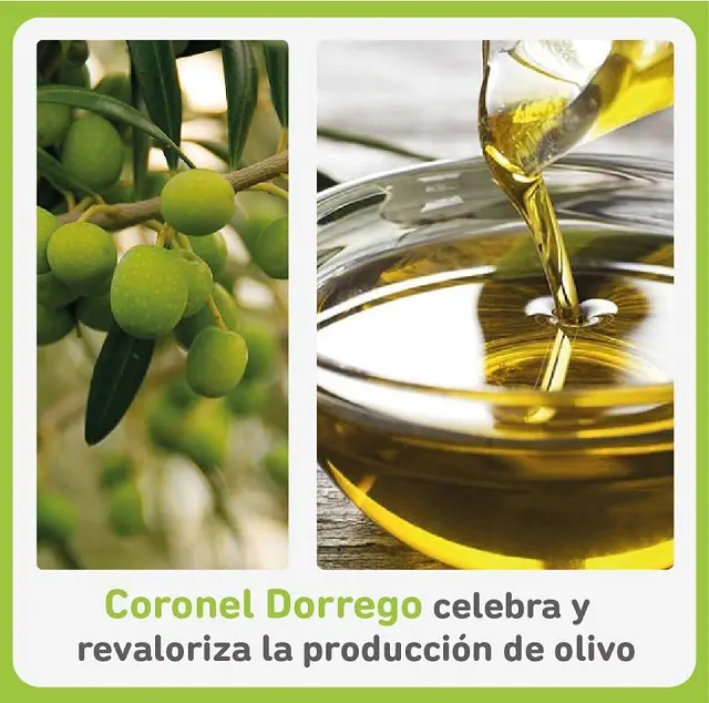 Se acerca la Fiesta Provincial del Olivo