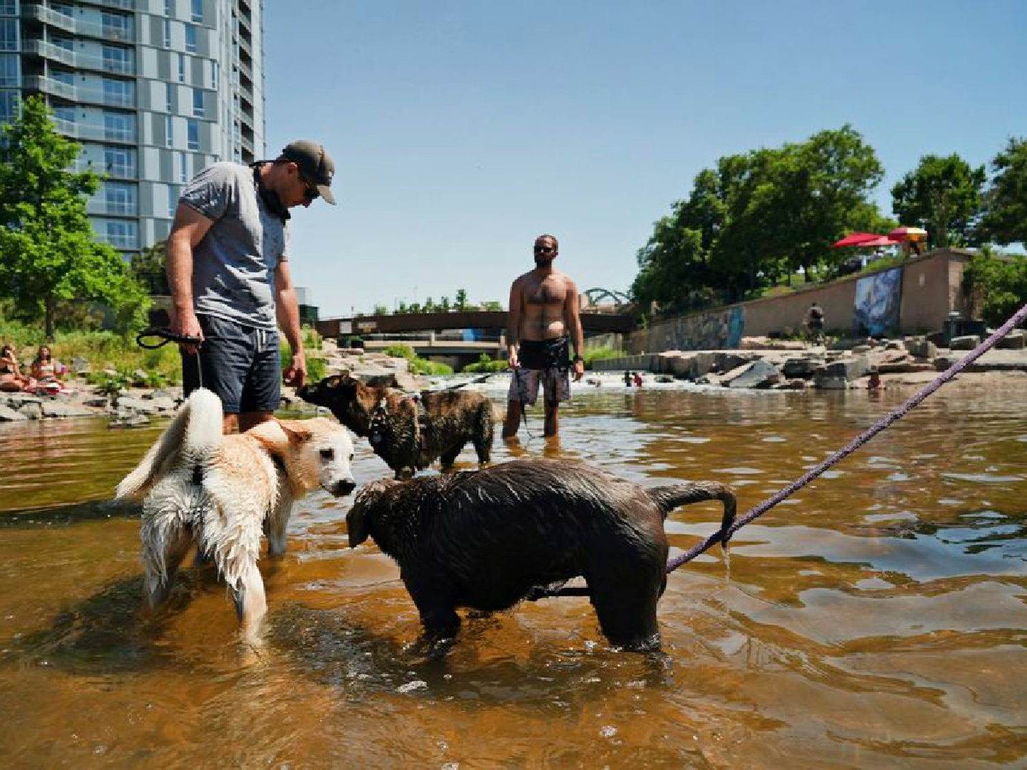 Esperan temperaturas de hasta 50 grados en el oeste de Estados Unidos