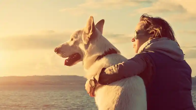 Día del Perro: ¿por qué siempre será el mejor amigo del hombre?