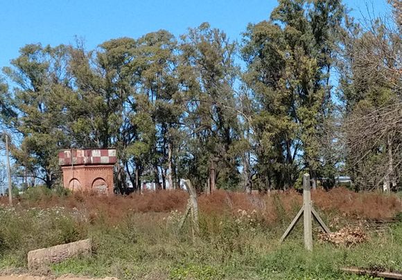 Reclamo: “El abandono que hay en el predio del ferrocarril”