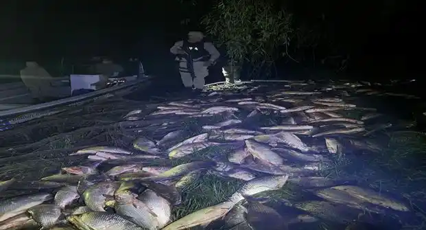 Prefectura incautó más de 2.000 kilos de pescado en el sur de Entre Ríos