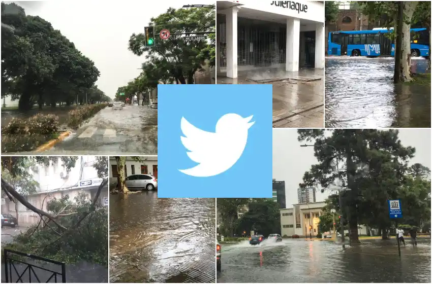 La tormenta en las redes: calles anegadas, árboles caídos y barrios sin luz