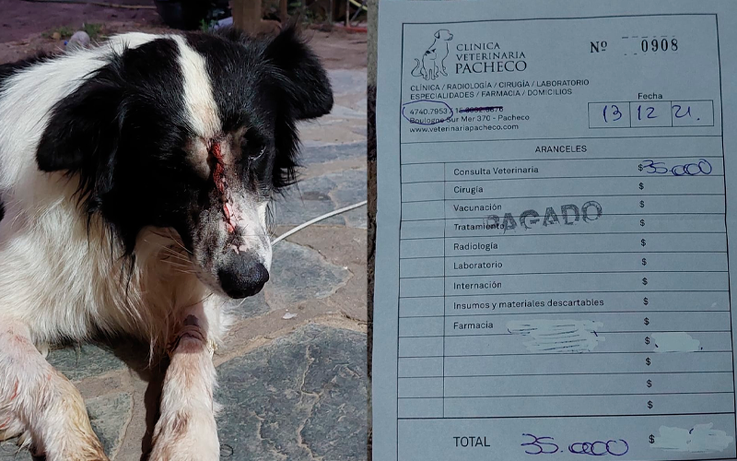 Poca Vida fue operado con éxito y su familia agradece