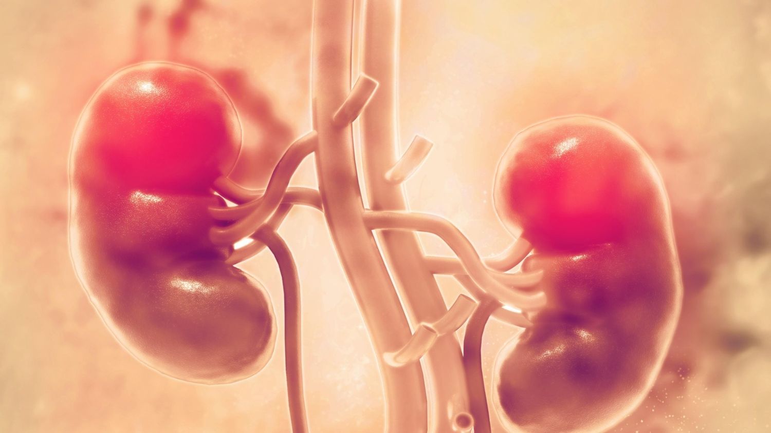 Cuando aparecen síntomas como hemorragia, pérdida de peso, deterioro general o dolor al orinar, generalmente se trata de casos más avanzados, incluso con metástasis.