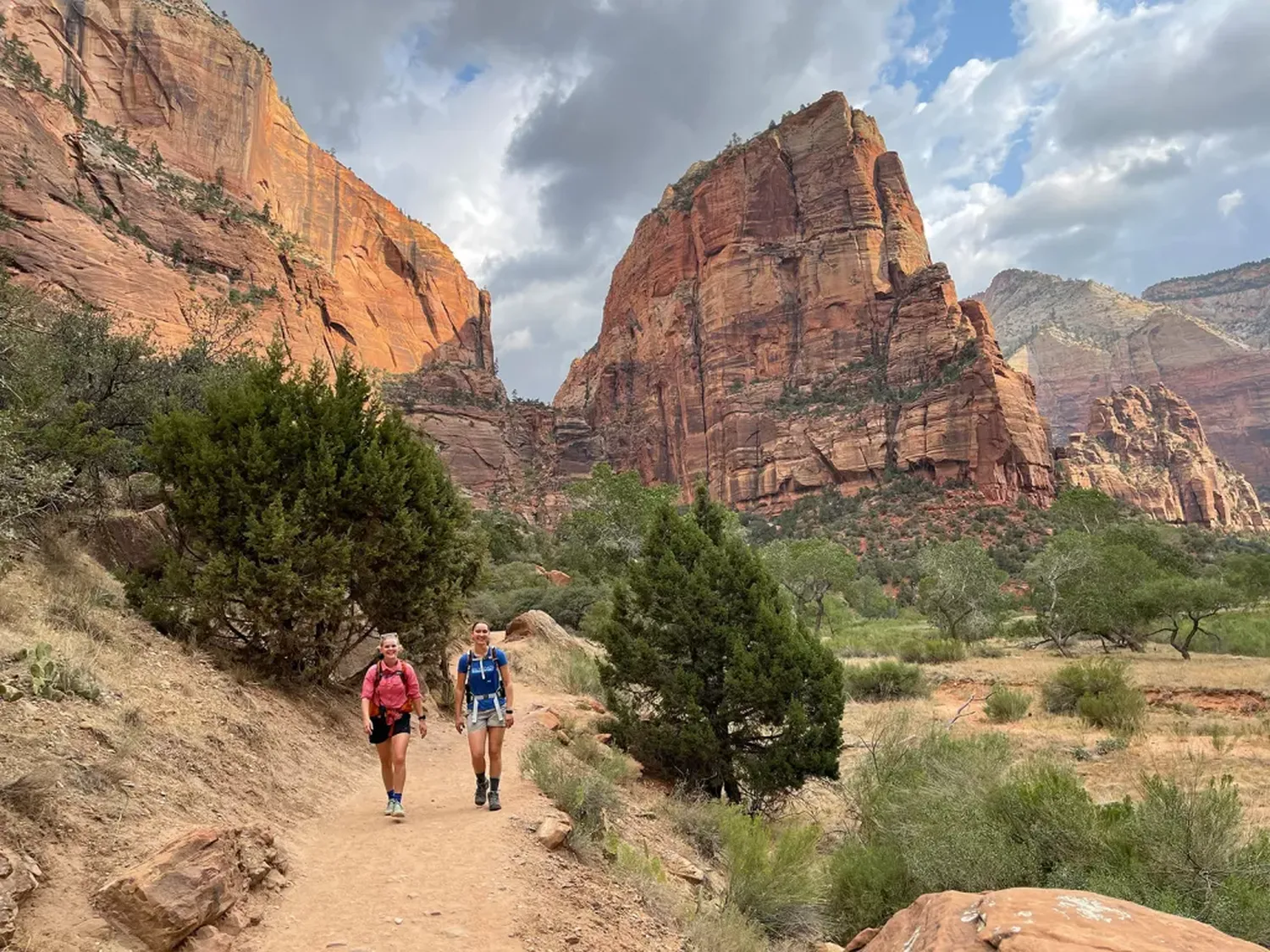 Visitors marvel at the stunning rock formations and vibrant colors of Zion National Park's iconic landscape.