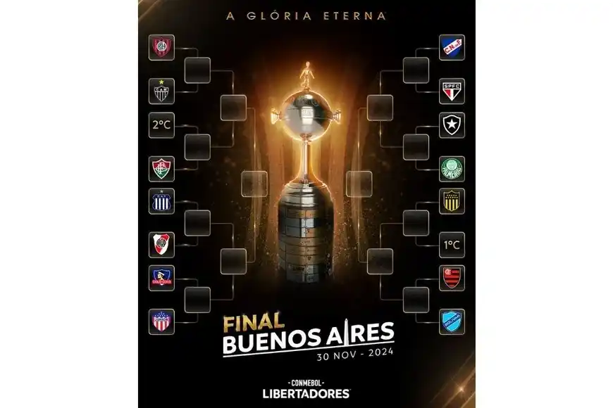 libertadores - 1