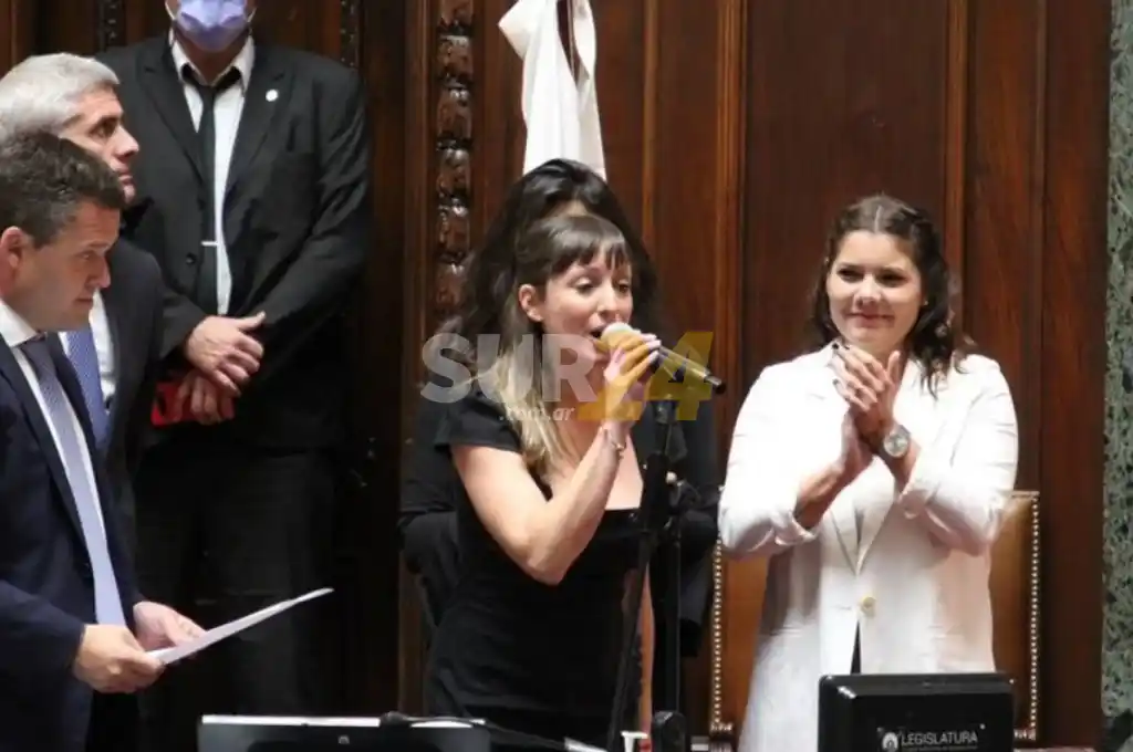 Insólito: asumió su banca como diputada y juró en nombre de Maradona