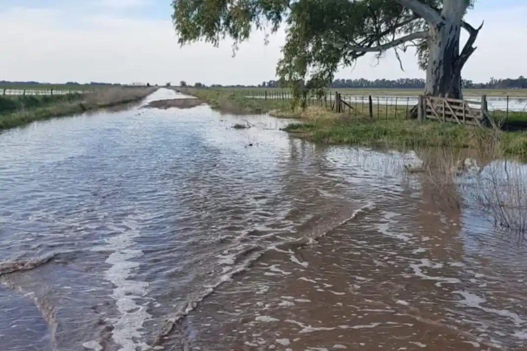 Caminos rurales anegados en General Villegas complican la producción y el tránsito en la región.