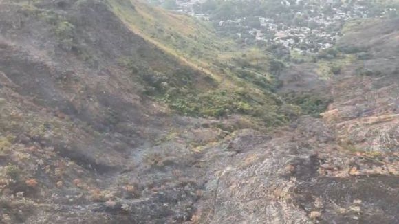 LLAMAS DEVORARON UNAS 250 HECTÁREAS del parque Henri Pittier