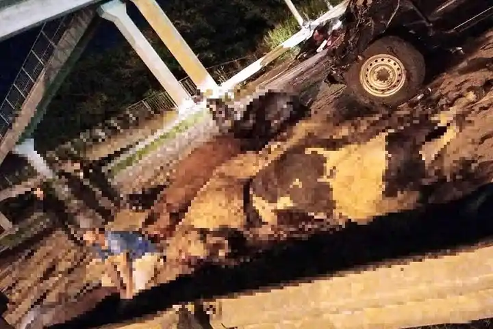 estampida caballos - 1