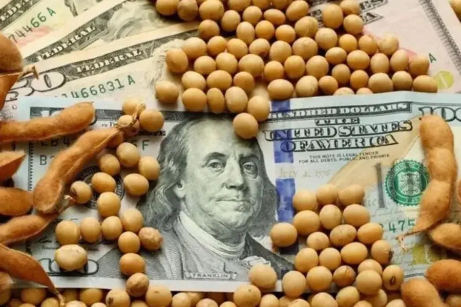 Se retrasa el ingreso de divisas por la soja: hasta ahora solo se vendió el 34% de la producción